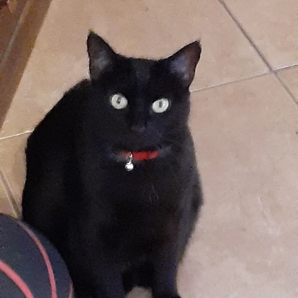 rokkinrobin55.bsky.social's profile picture