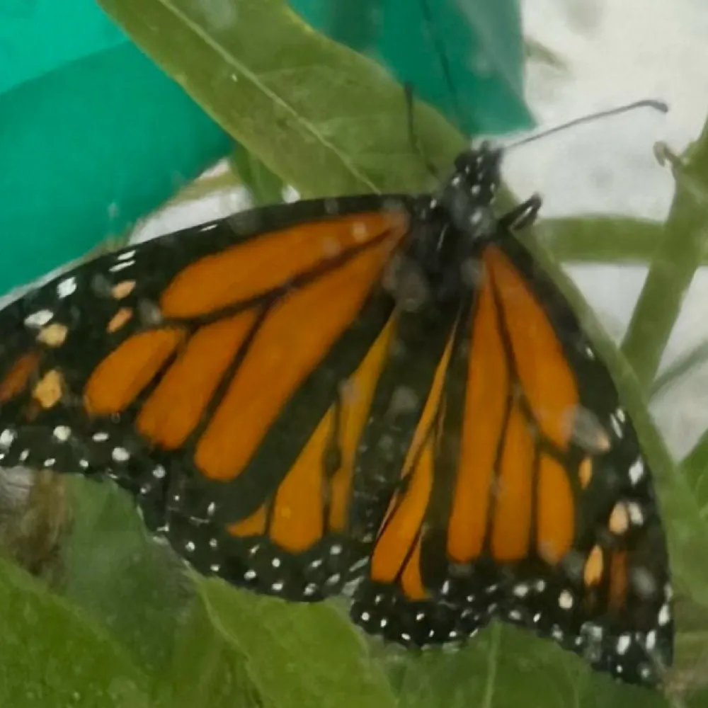 blueultra.bsky.social's profile picture