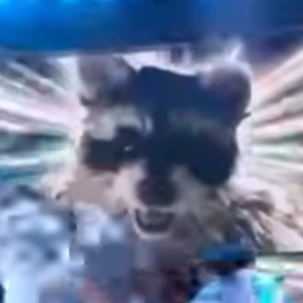 emlap98.bsky.social's profile picture