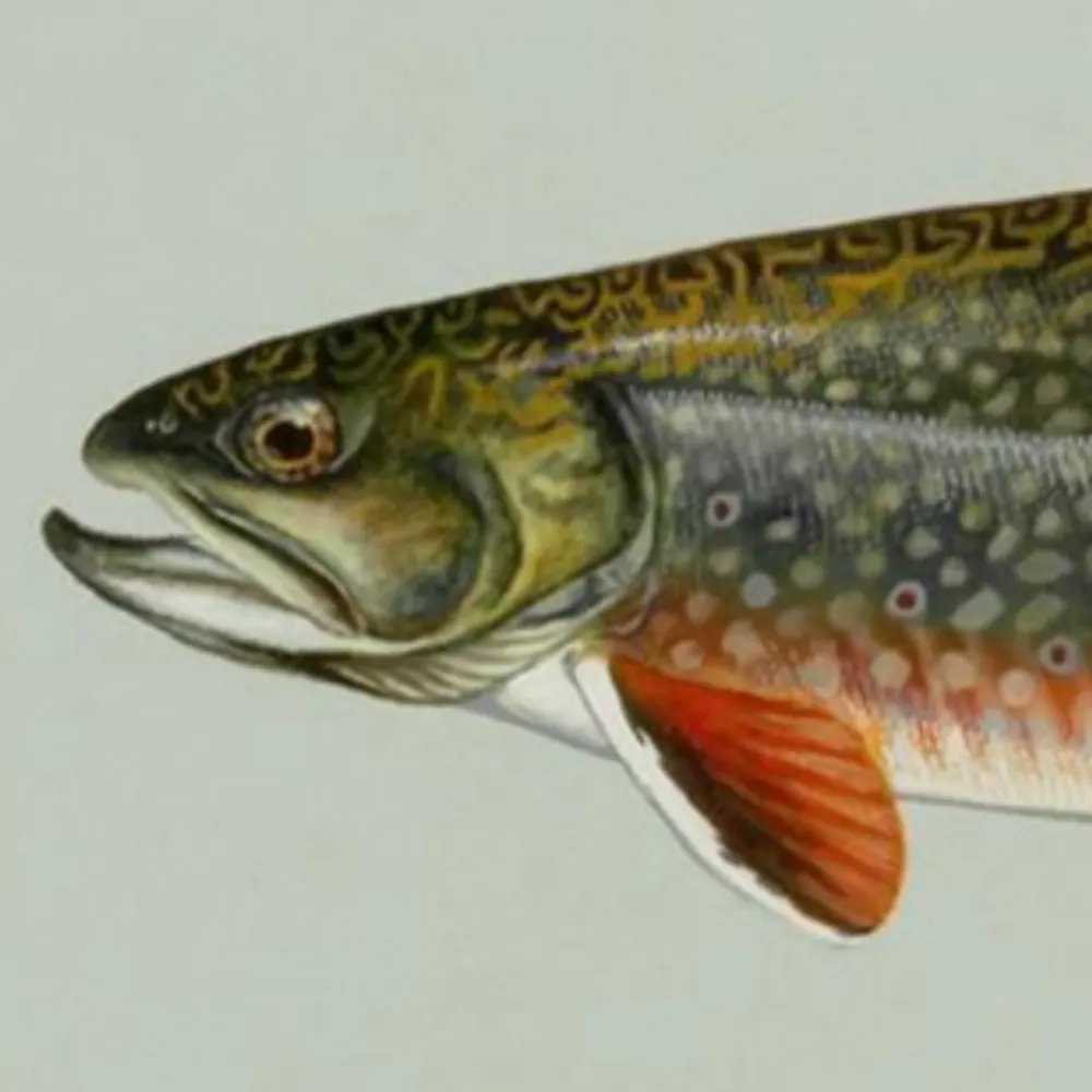 thesleeperssleep.bsky.social's profile picture