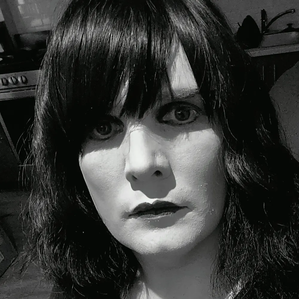 lilinravenholm.bsky.social's profile picture