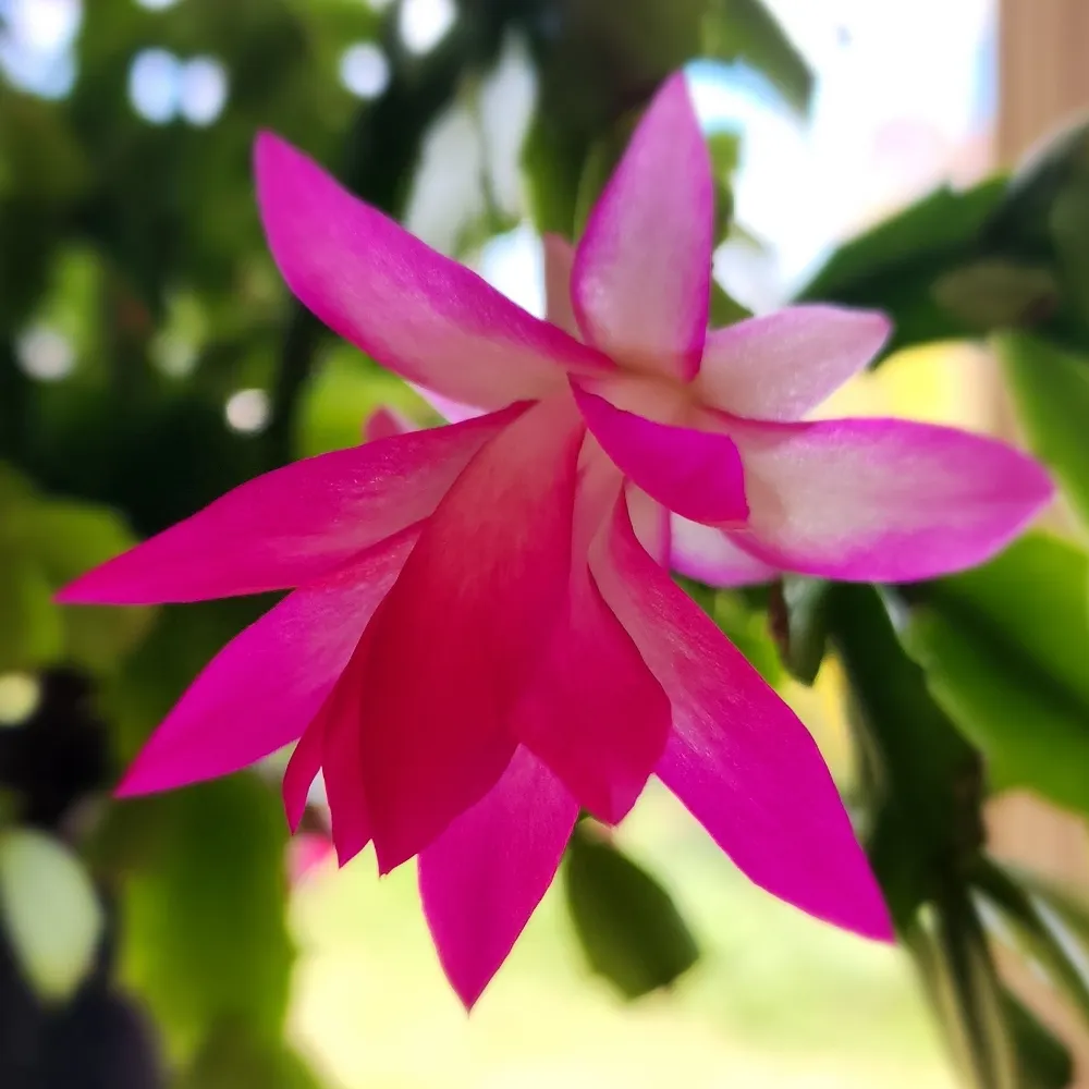 erksynerksy.bsky.social's profile picture