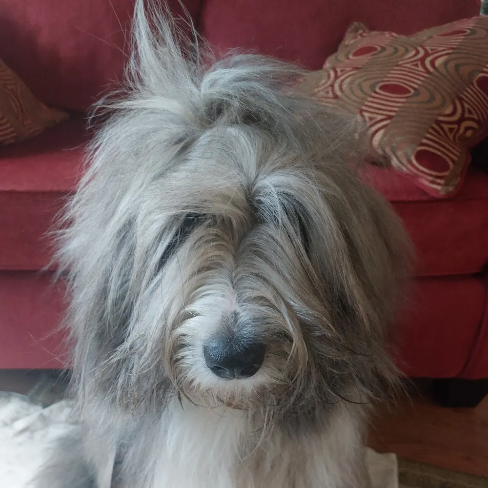 henneypenny2020.bsky.social's profile picture