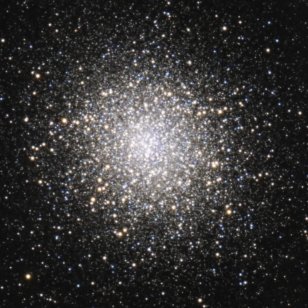 rjnerddad.bsky.social's profile picture