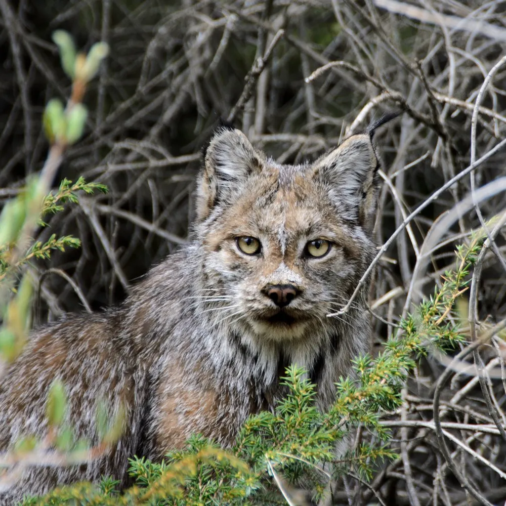 louisebaril.bsky.social's profile picture