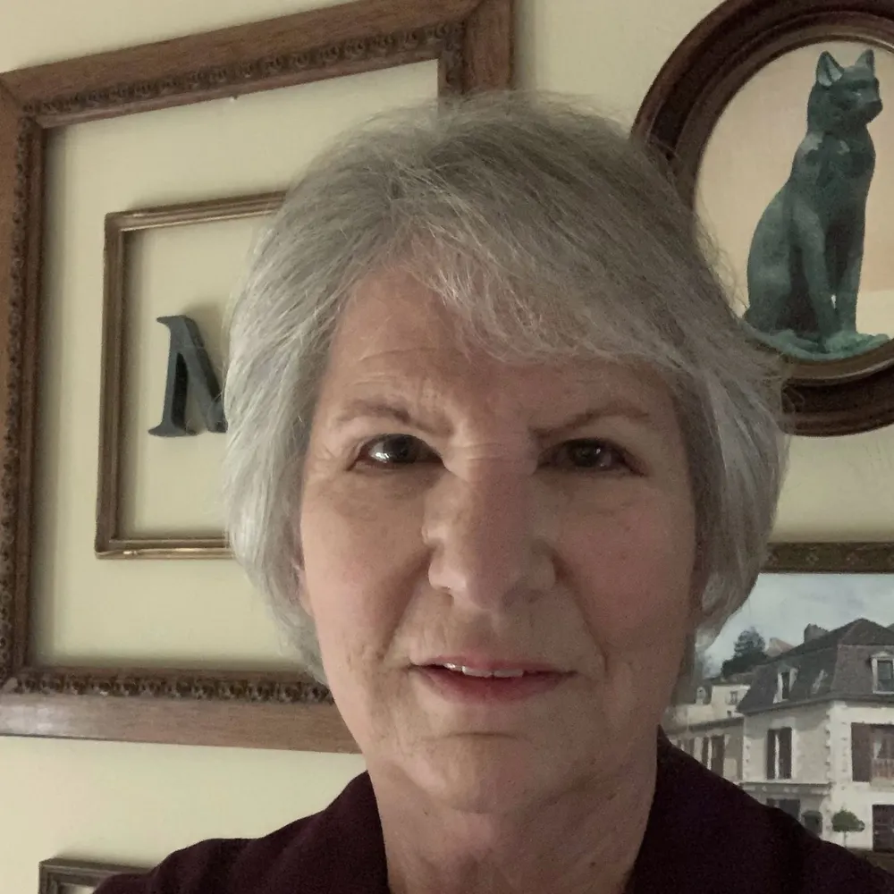 leftcoaster44.bsky.social's profile picture