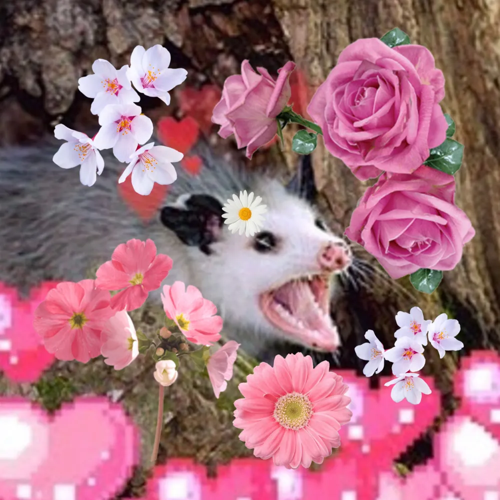 2na2panda.bsky.social's profile picture