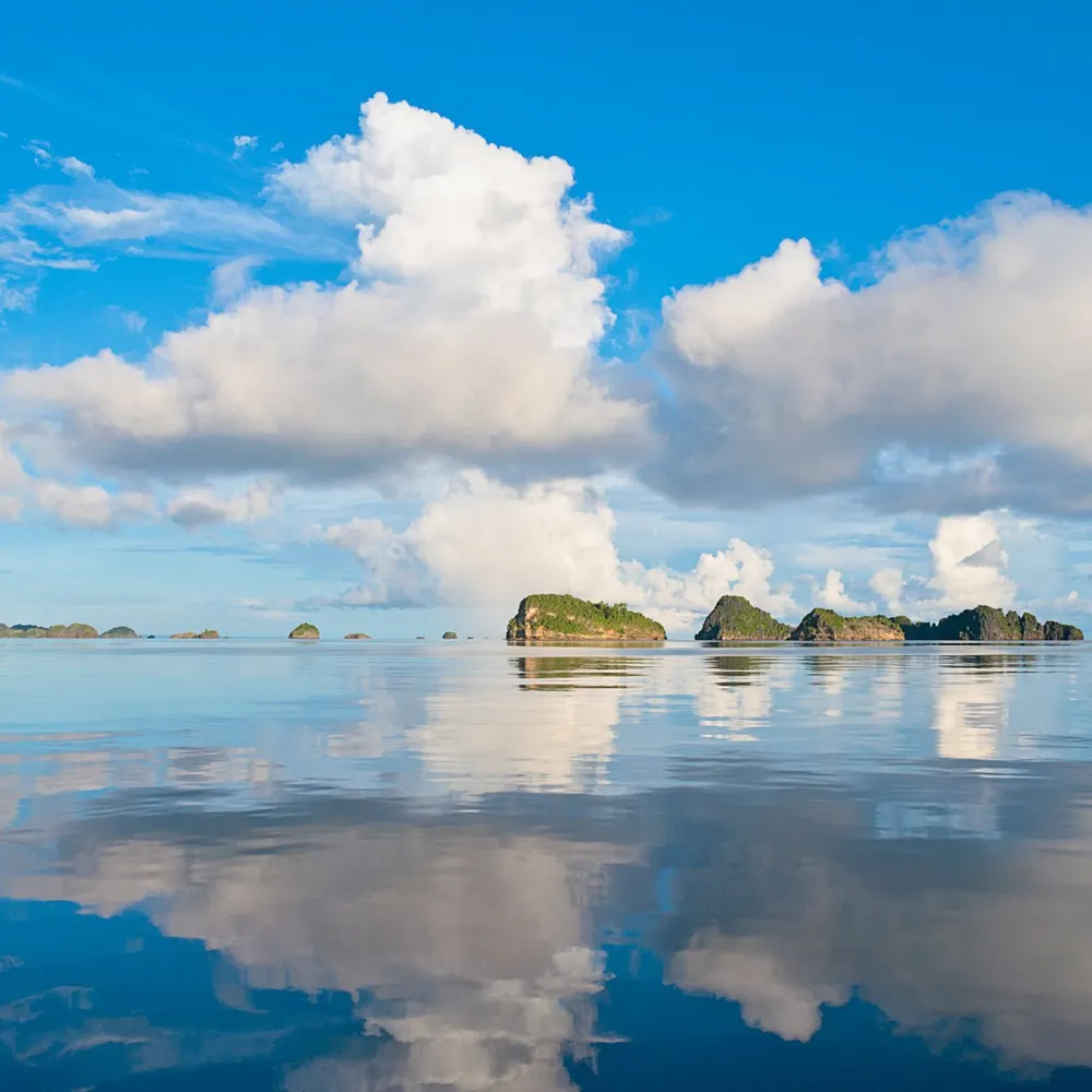 hohohoj.bsky.social's profile picture