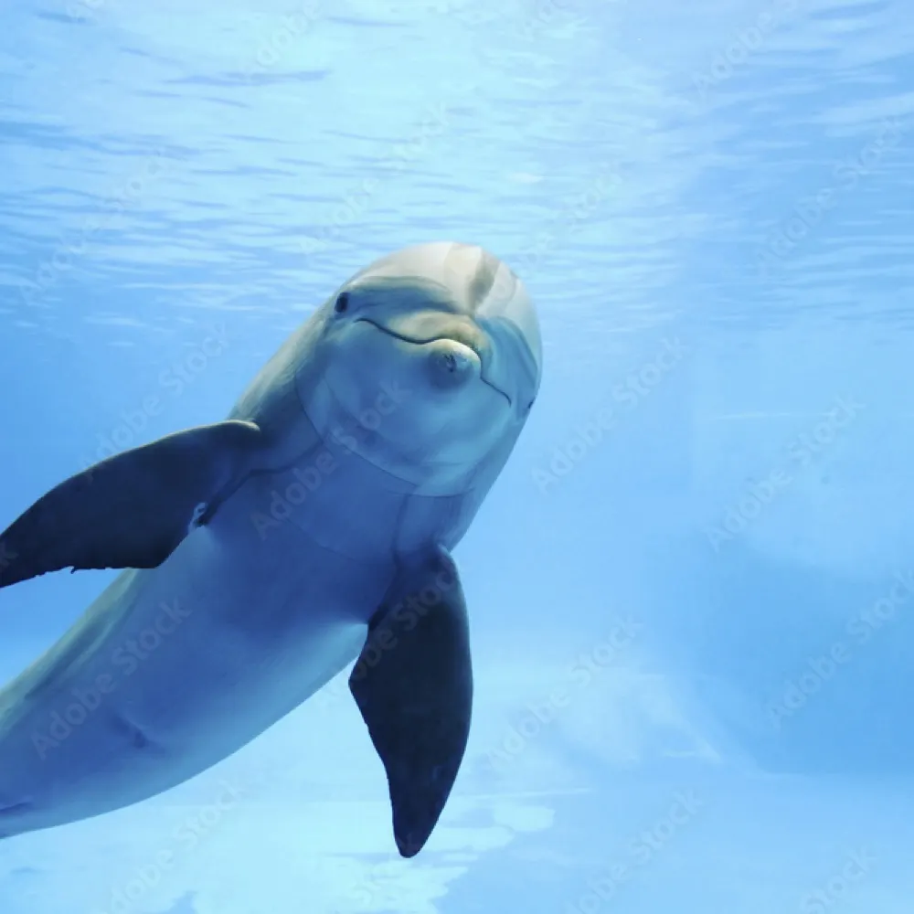 gilroygirl18.bsky.social's profile picture