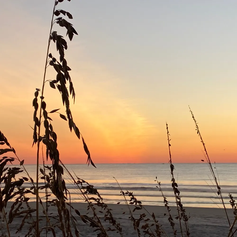 annieevian.bsky.social's profile picture