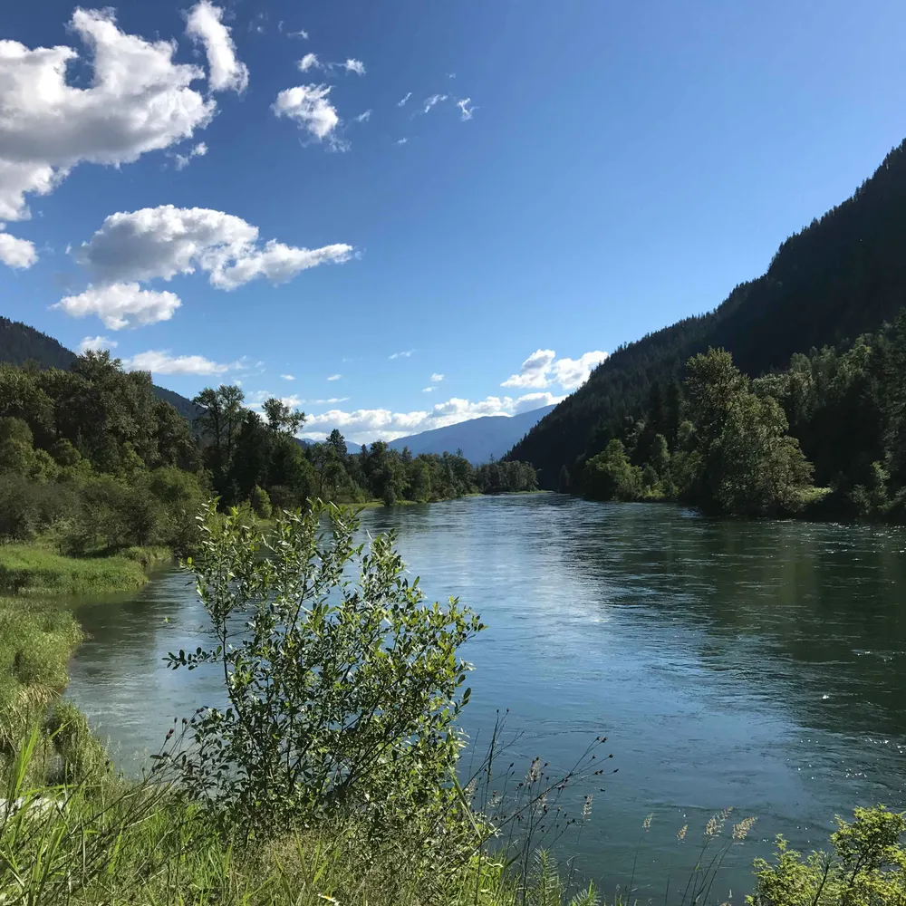 sorrisa7.bsky.social's profile picture