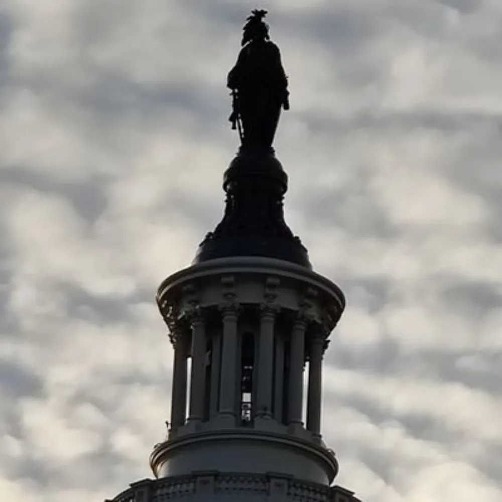 a-blue-peach.bsky.social's profile picture