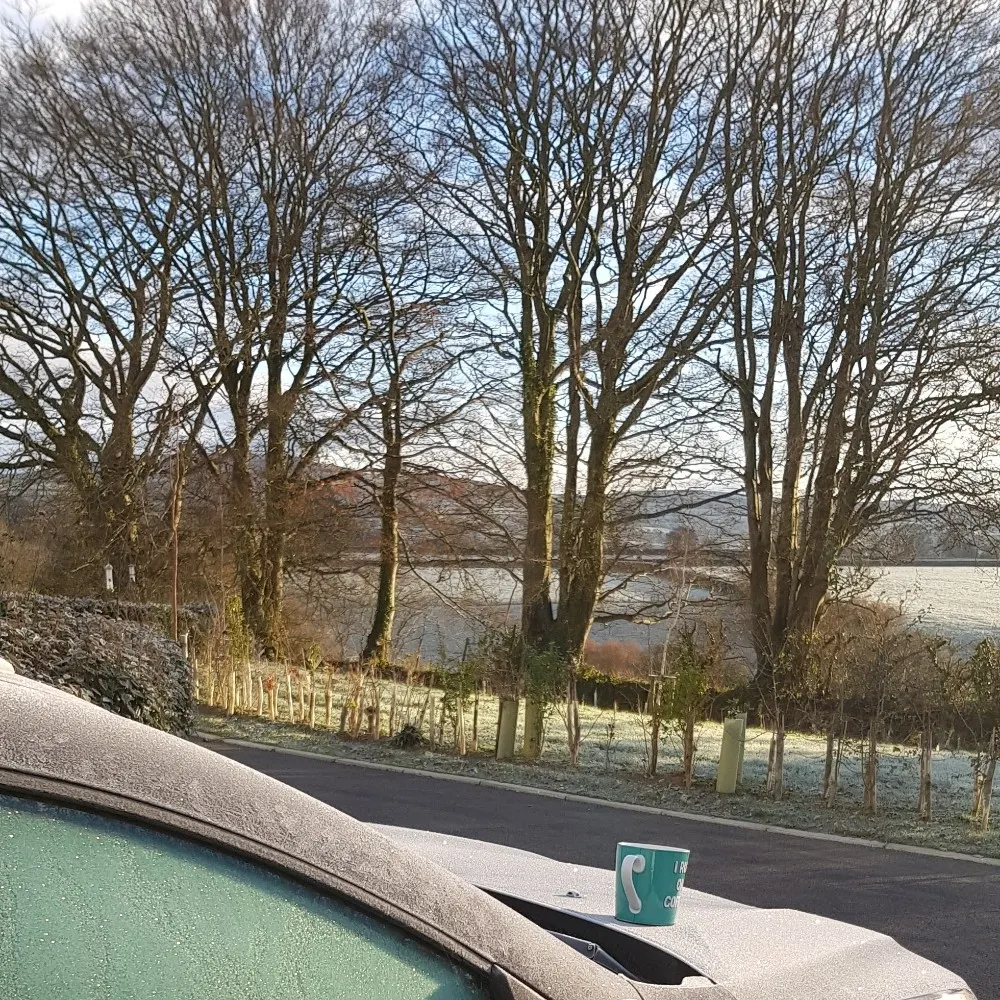 nigeldiggle.bsky.social's profile picture