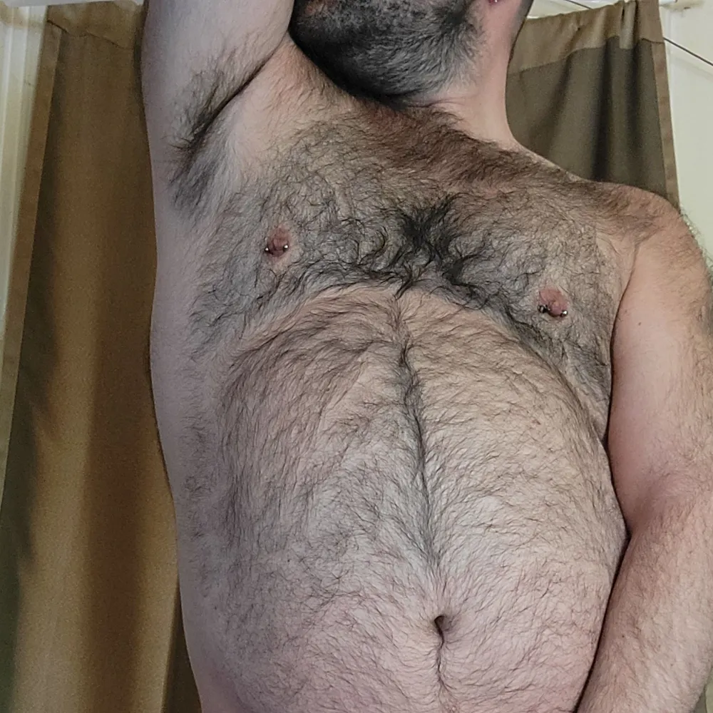 bearbutt8729.bsky.social's profile picture