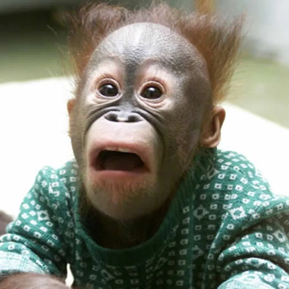 jamesdolson.bsky.social's profile picture