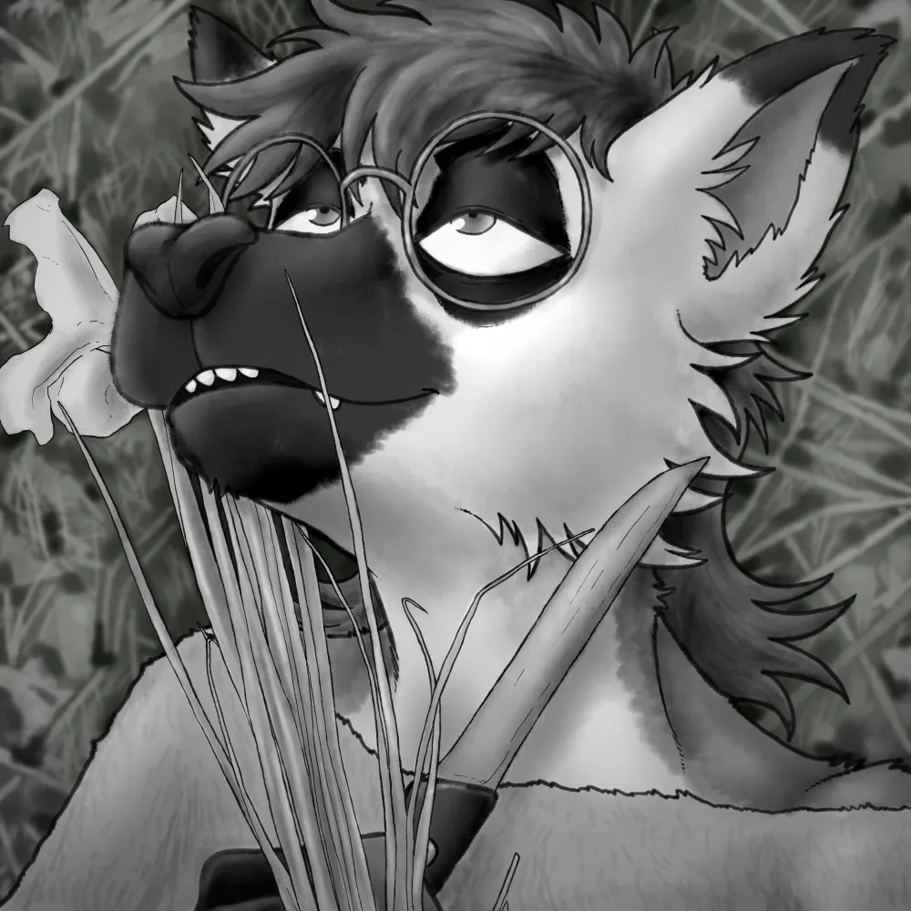 slyeazylemur.bsky.social's profile picture