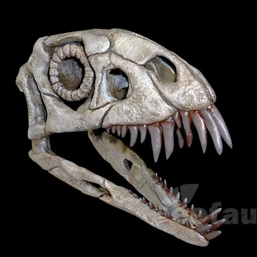 beanies-bad-place.bsky.social's profile picture