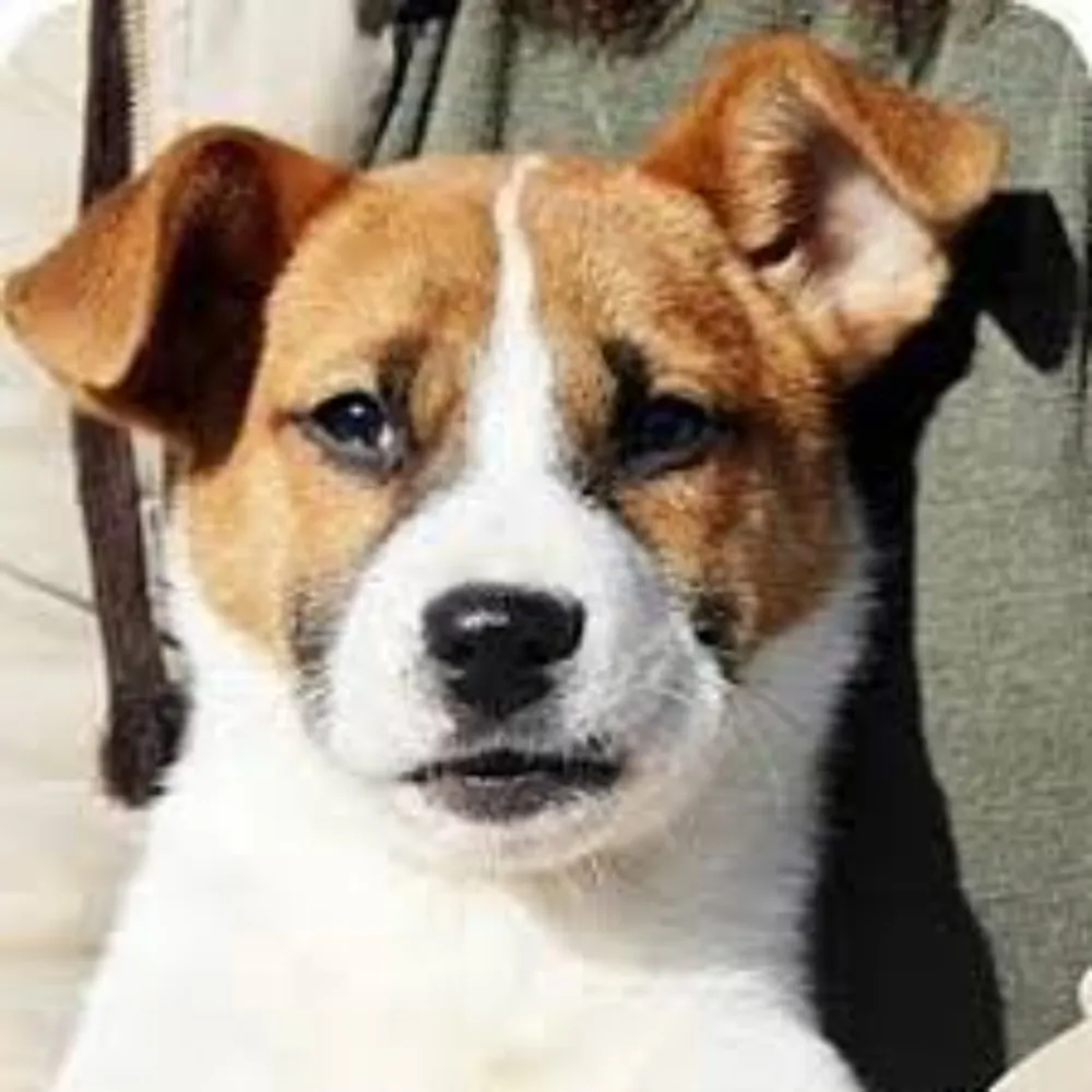 jackshawhan.bsky.social's profile picture