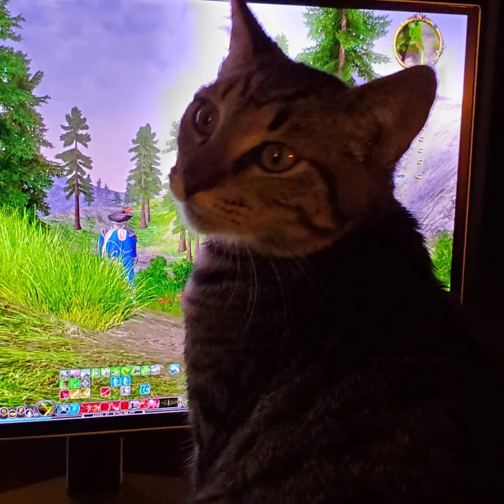 mattdavala.bsky.social's profile picture