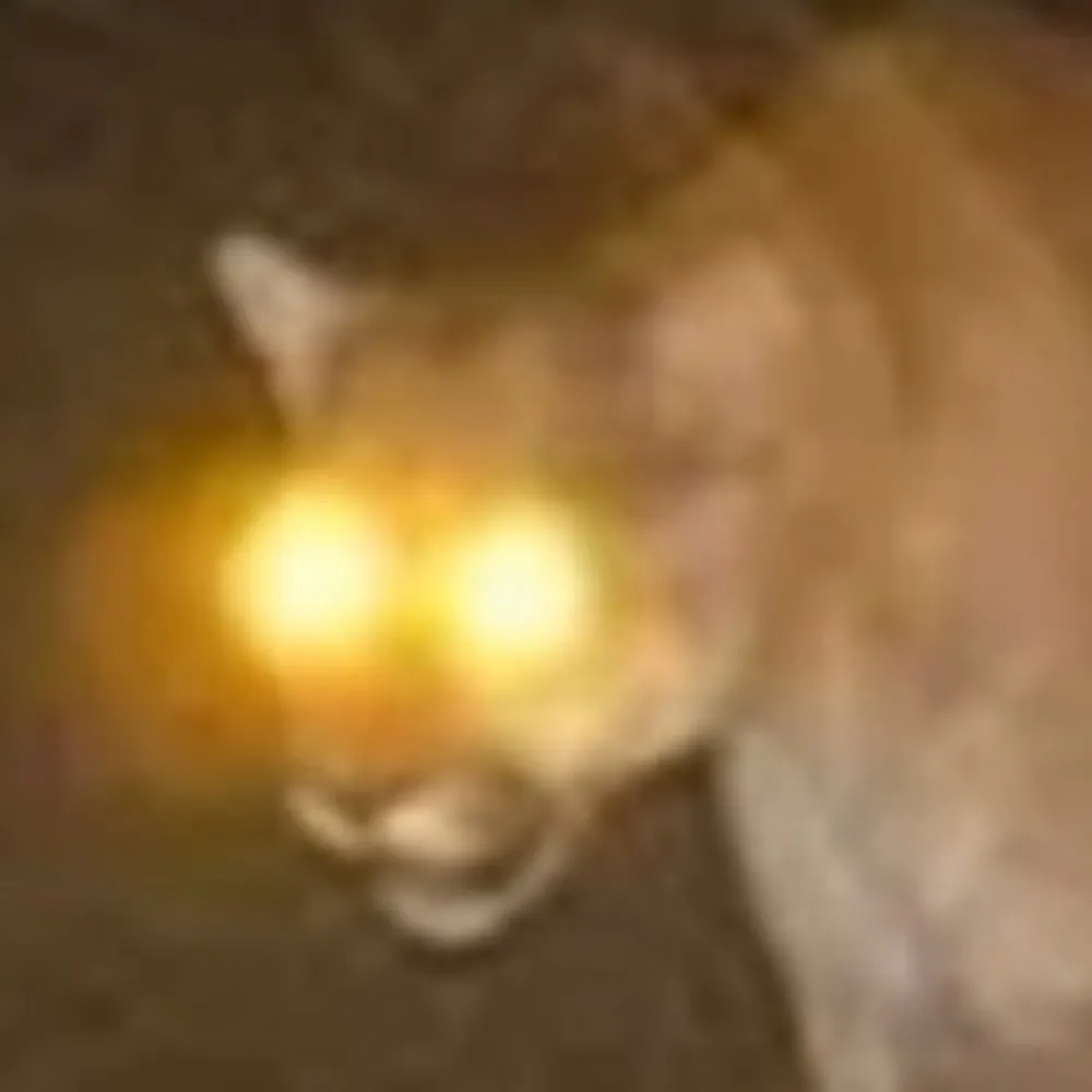 saethyr.bsky.social's profile picture