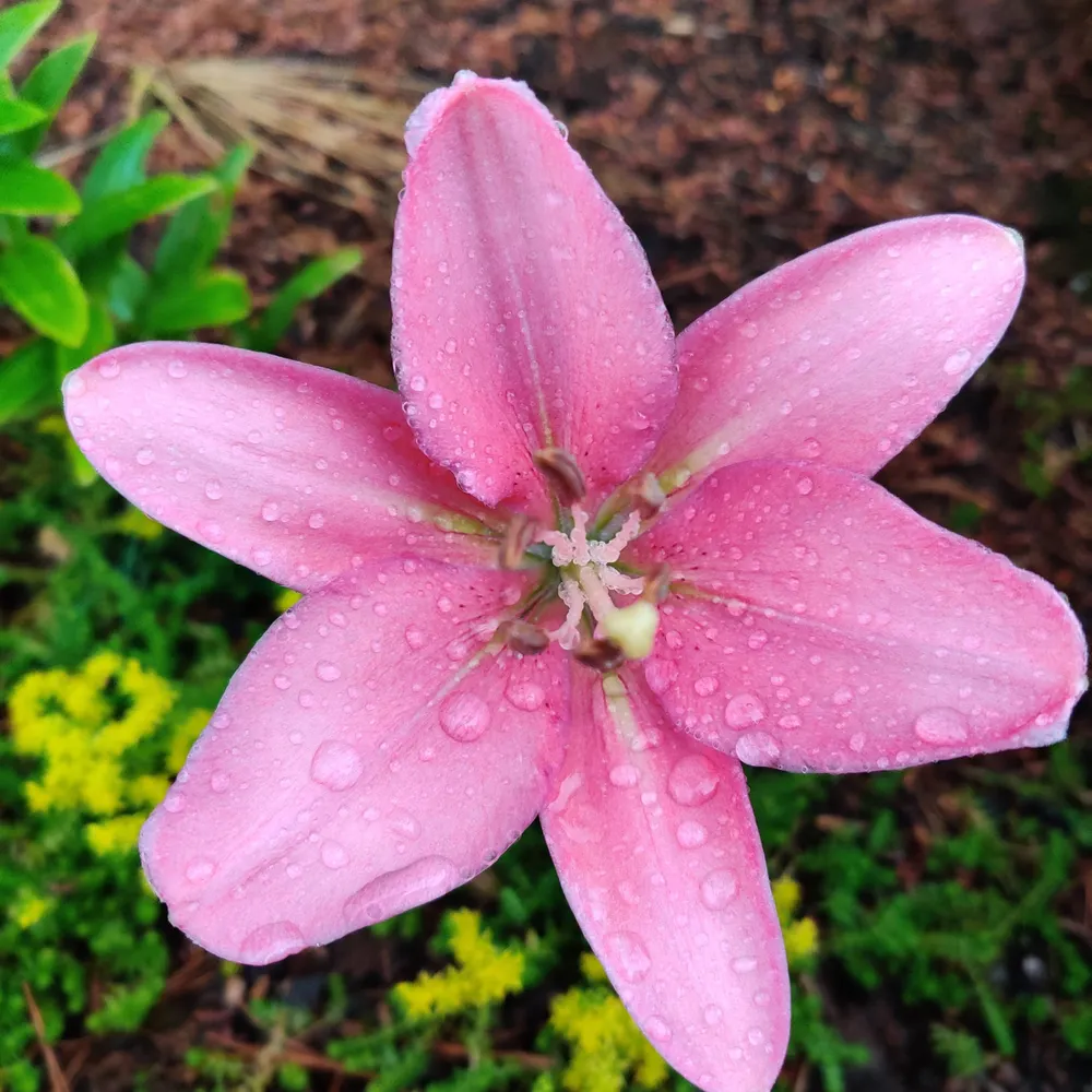 seth03.bsky.social's profile picture