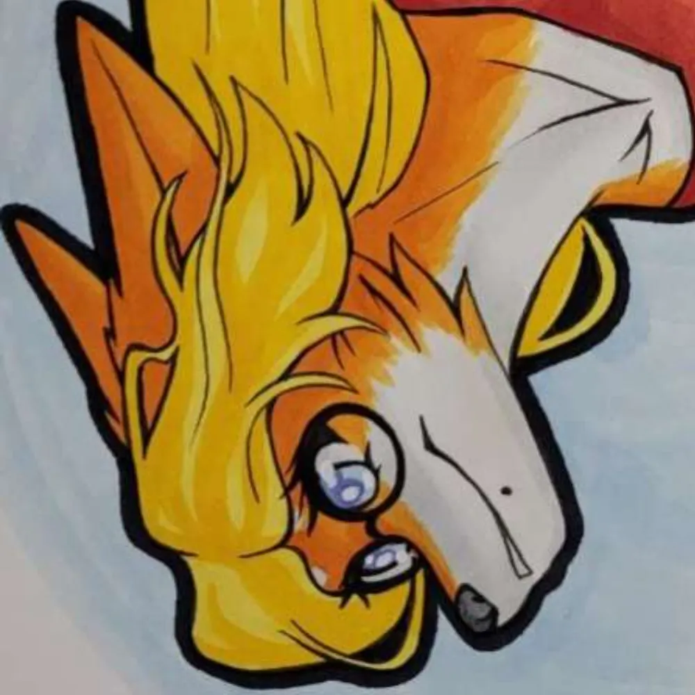 papr1ka.bsky.social's profile picture