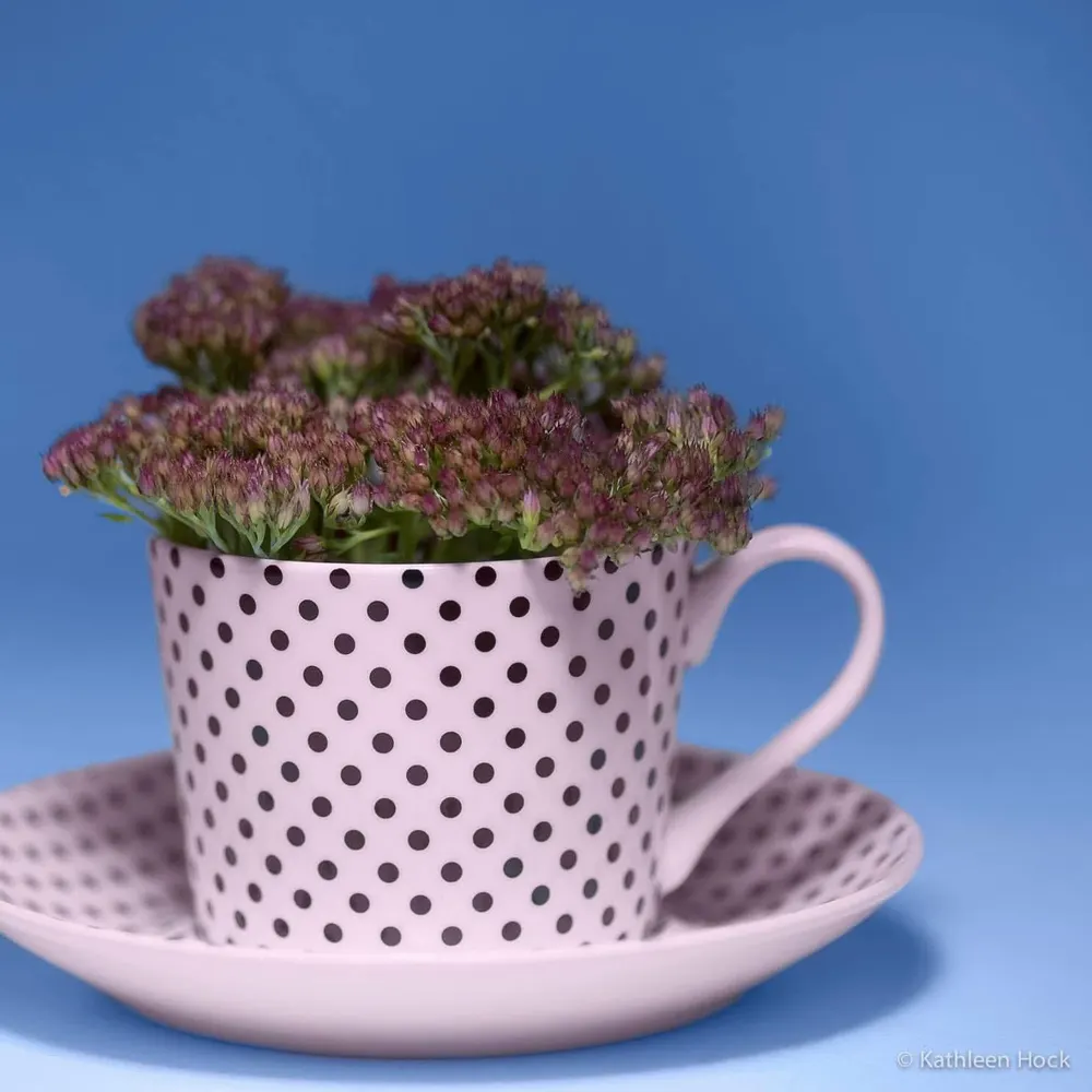 kayiso64.bsky.social's profile picture