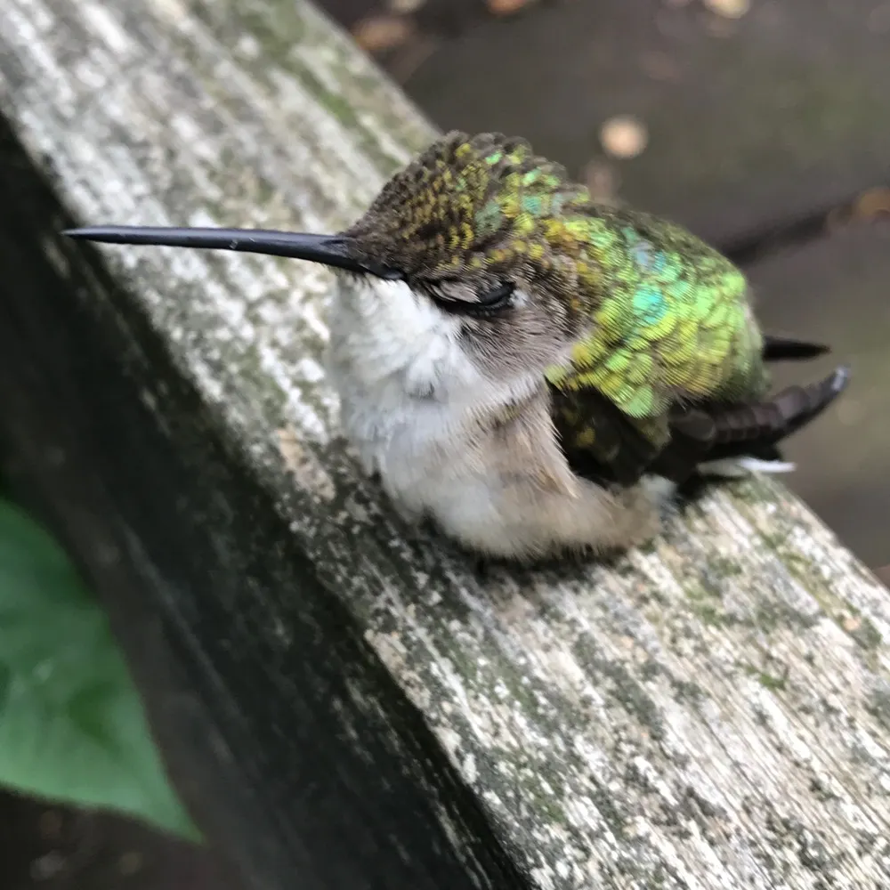 jjrpt.bsky.social's profile picture