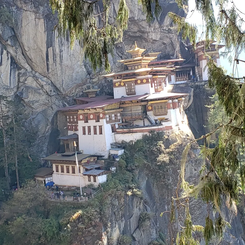 marksprings.bsky.social's profile picture