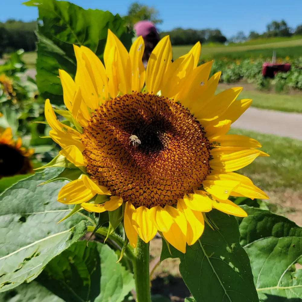 robinyourgrave.bsky.social's profile picture