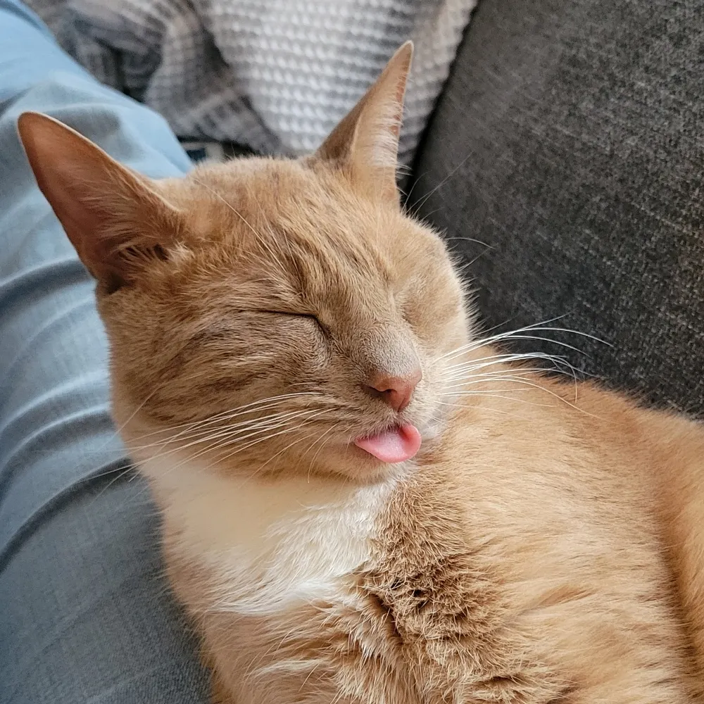 robinyourgrave.bsky.social's profile picture