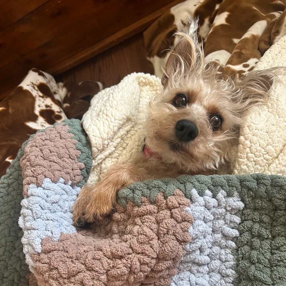 kitchwitch.bsky.social's profile picture