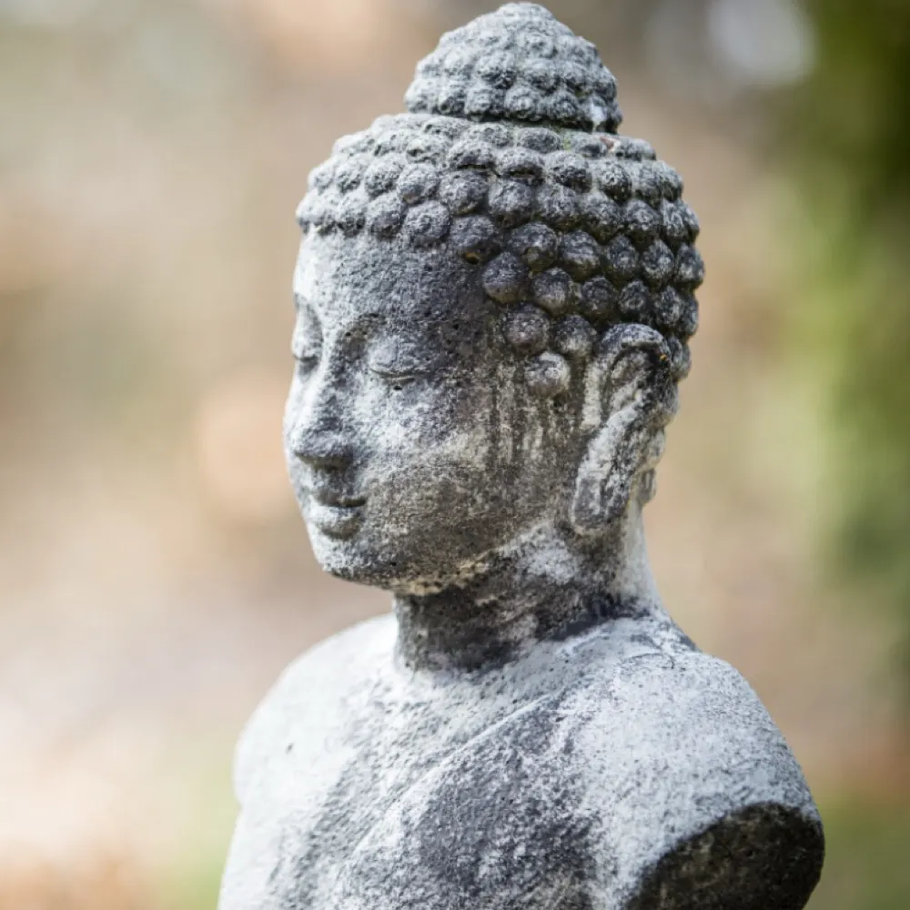 todders707.bsky.social's profile picture