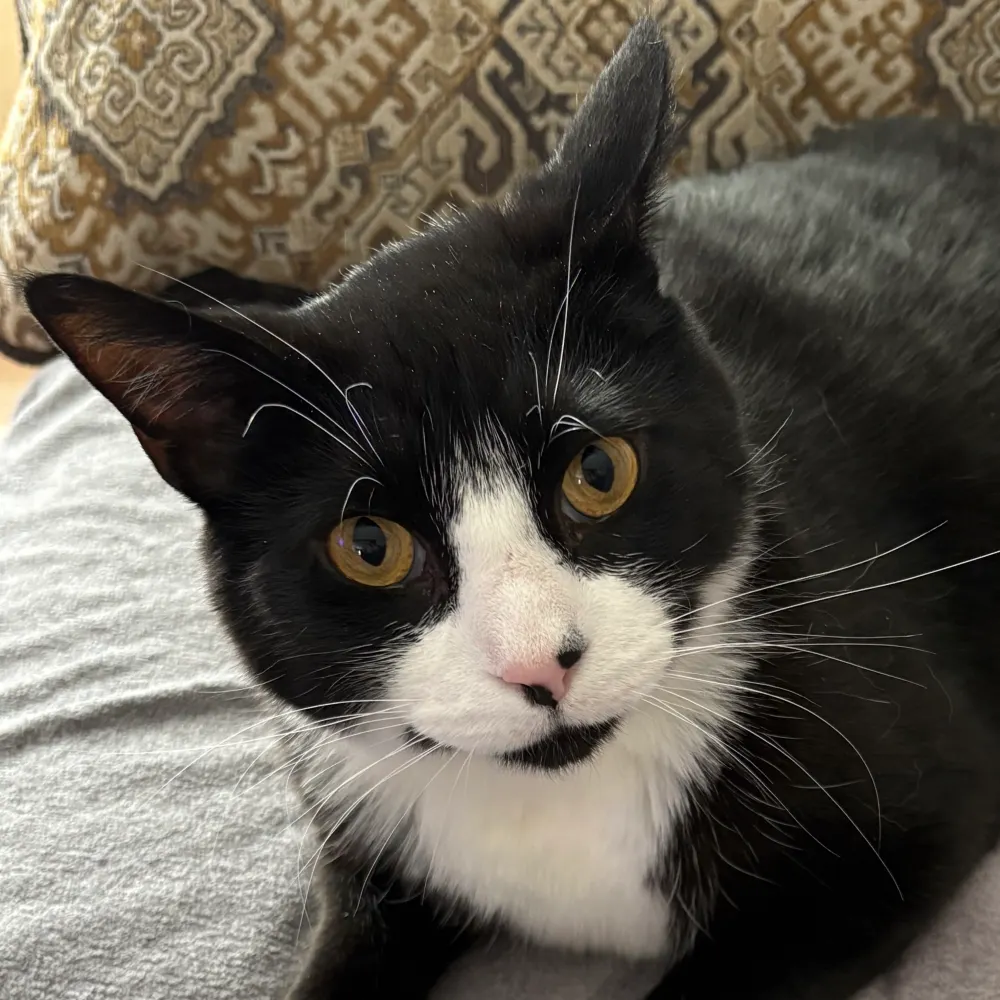 durelleth.bsky.social's profile picture