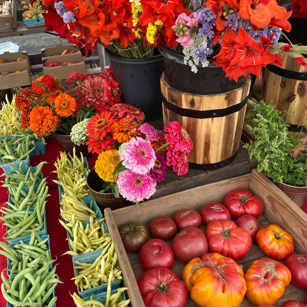 landisr.bsky.social's profile picture