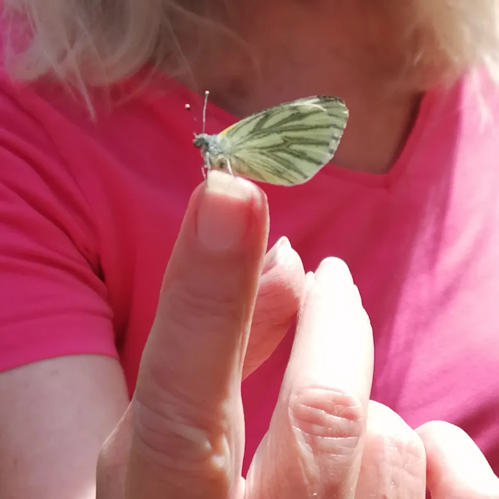 irishwol.bsky.social's profile picture