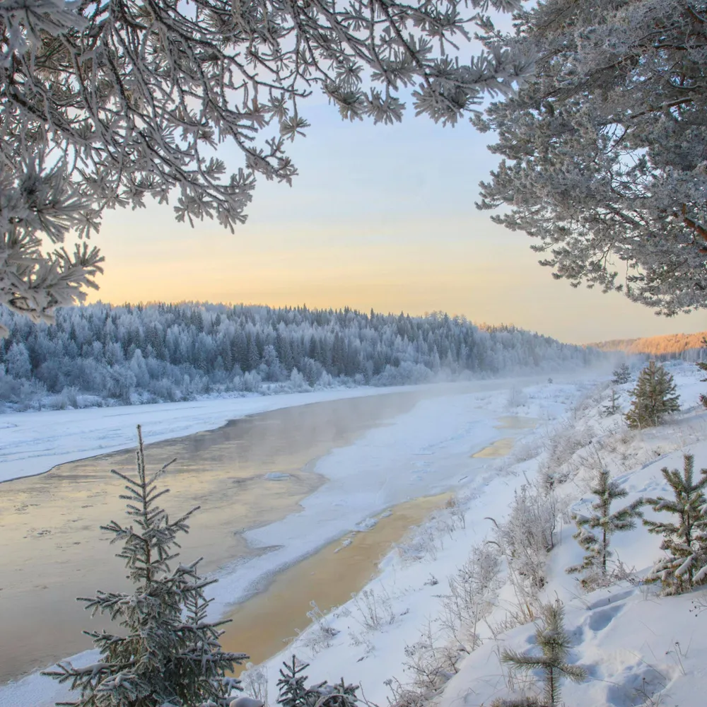 thom6502.bsky.social's profile picture