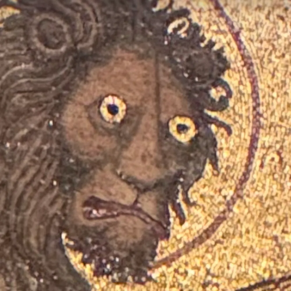 julie-peyton.bsky.social's profile picture