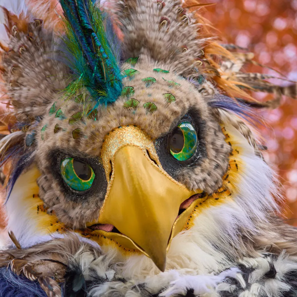 fidik.net's profile picture