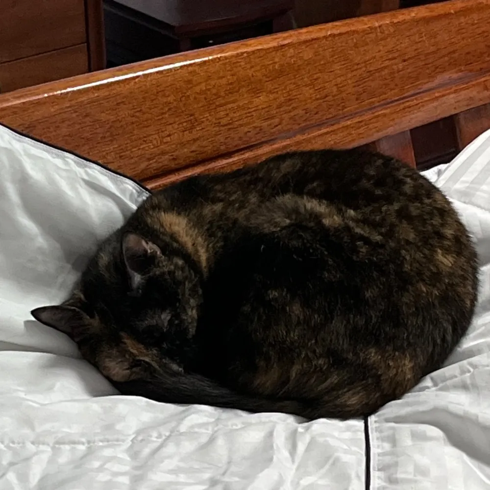 dfinberg.bsky.social's profile picture