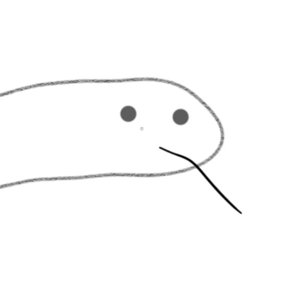 anjinm.bsky.social's profile picture