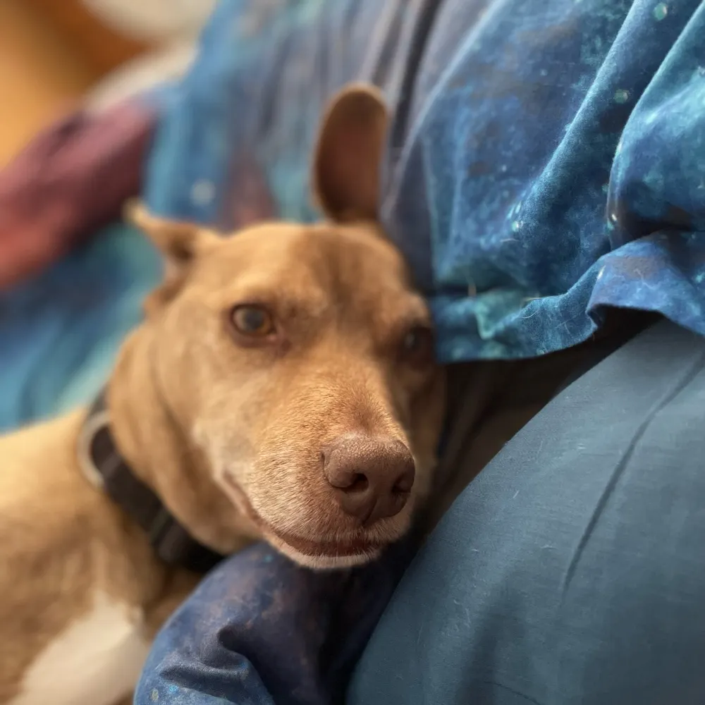 splitatoms119.bsky.social's profile picture