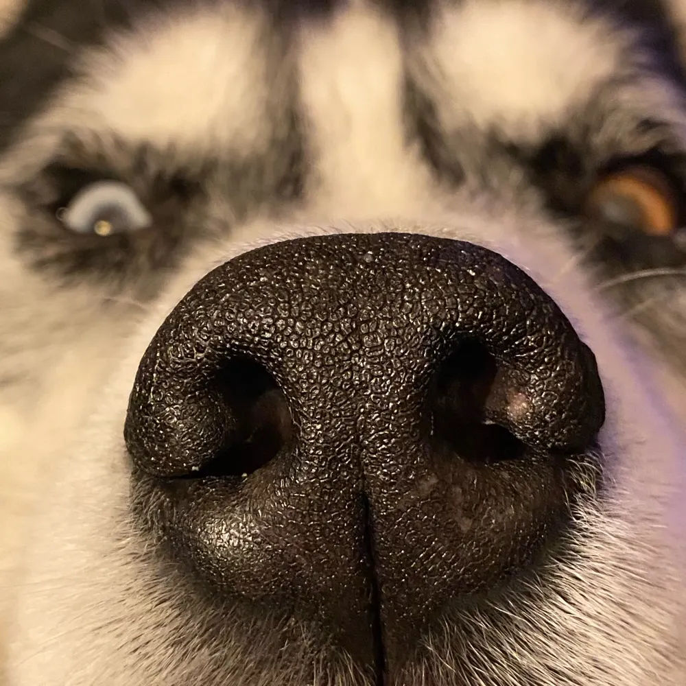 jtbeep.bsky.social's profile picture