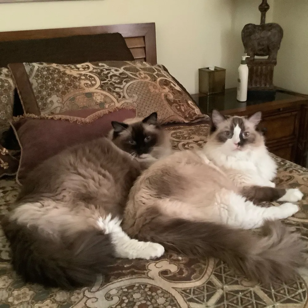 delaneykirk.bsky.social's profile picture