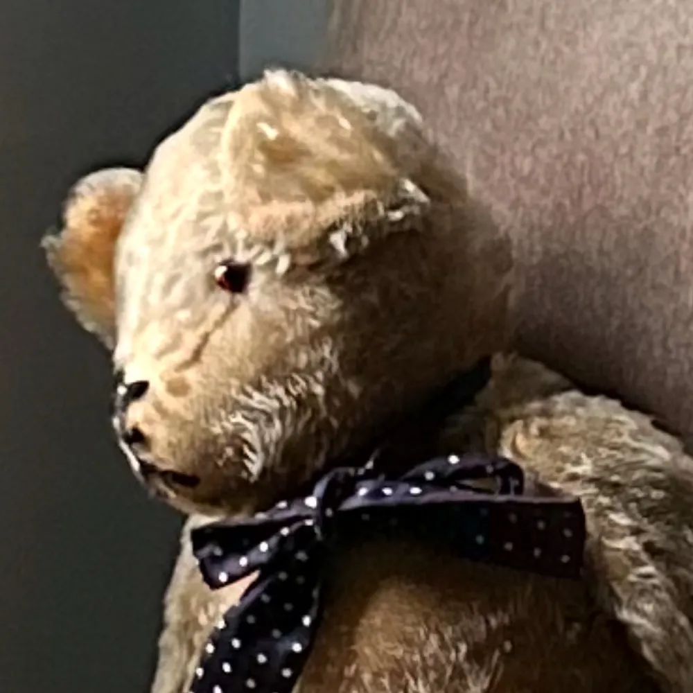 brumus.bsky.social's profile picture