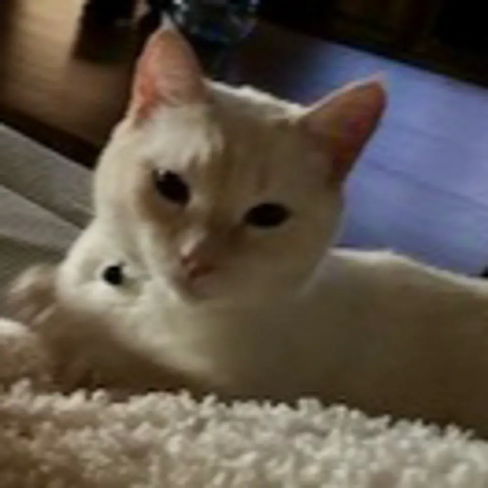 larubia22.bsky.social's profile picture