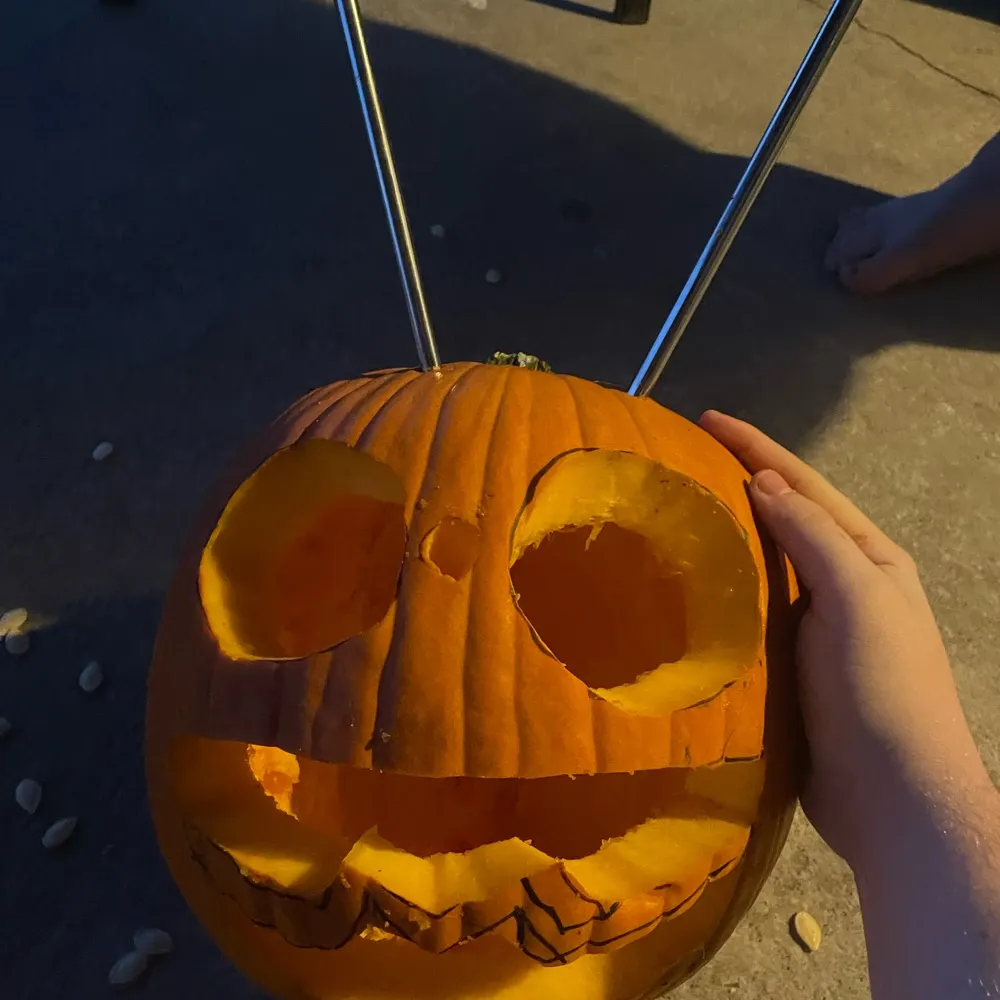 cyberaptorgaming.bsky.social's profile picture