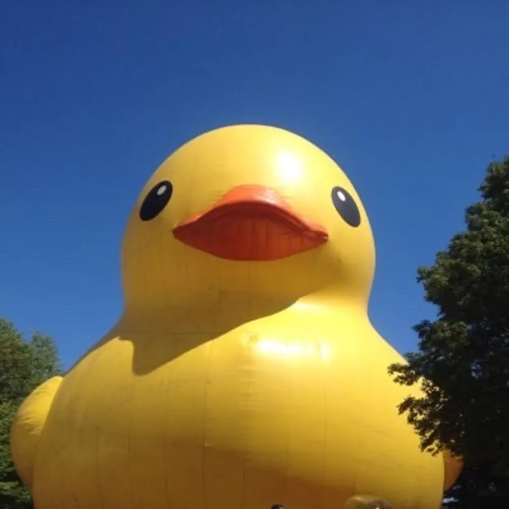 rubberduckcanuk.bsky.social's profile picture