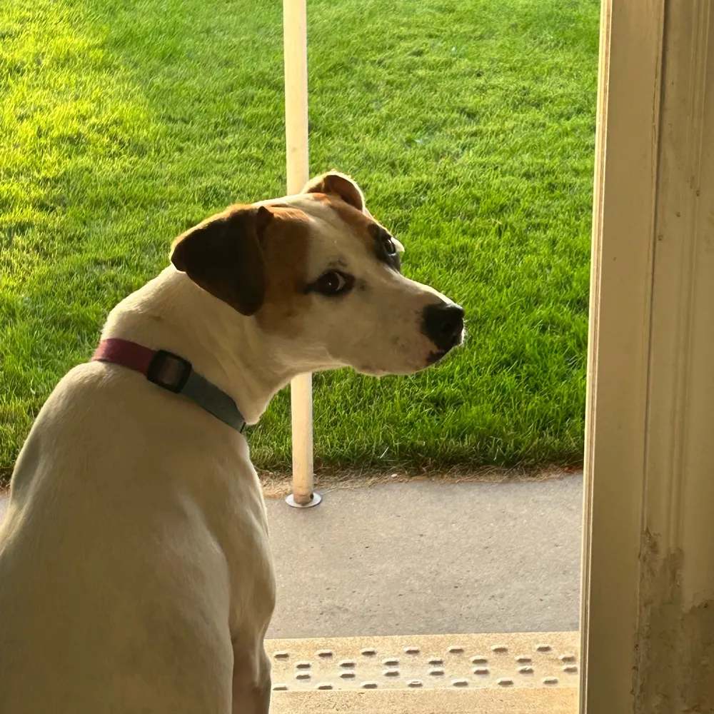 res-ipsa.bsky.social's profile picture