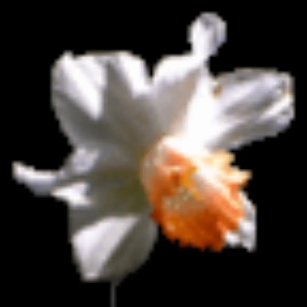 datban.bsky.social's profile picture